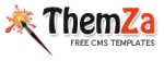 themza-logo