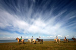 Horseback-riding-Iceland12