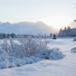 Walking tour uncovers Iceland’s Christmas and cultural traditions