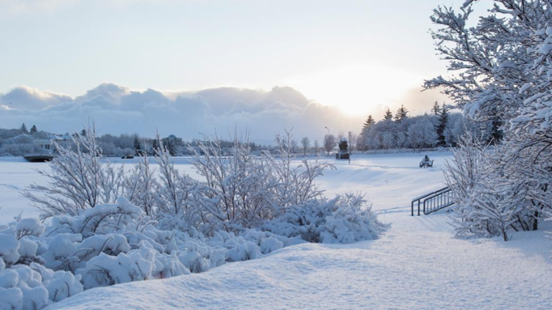Walking tour uncovers Iceland’s Christmas and cultural traditions