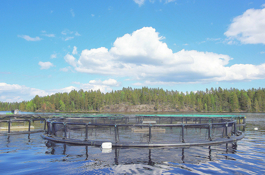 Aquaculture: Clear Water Thanks to Cork