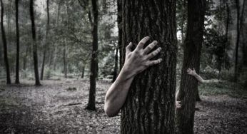 Zombie Wood – Halloween Event in Somerset