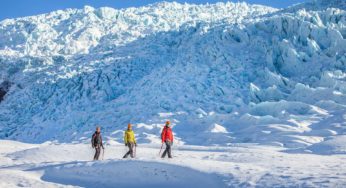 Icelandic Mountain Guides Goes Carbon Neutral