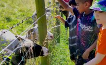 Applications Open for Weston Charity Awards 2025: Transformational Support for Front-line Charities