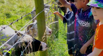 Applications Open for Weston Charity Awards 2025: Transformational Support for Front-line Charities